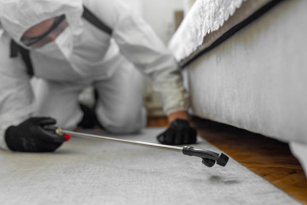 Professional Bed Bug Control technician working in Falls City, NE