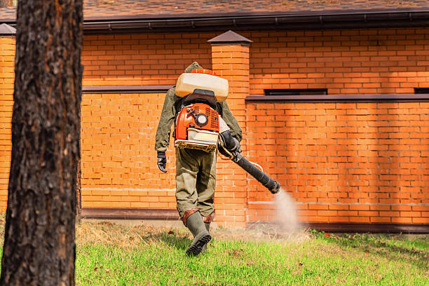 Trusted Mosquito Control service in Falls City, NE - Nex Pest Control